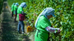 Italiens Arbeitsmarkt bleibt flexibel