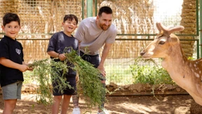 Ein Zierfisch namens Messi