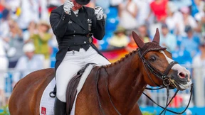 Das dressierte Pferd – Wie weit darf der Sport gehen?