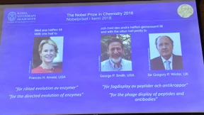 Chemie-Nobelpreis geht an Protein-Forscher
