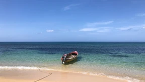 „Ein positiver Effekt für Jamaika“