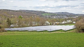Minütlich ein anderer Strompreis in jeder Region
