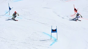 Gemeinsam sind sie schnell