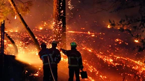 Heftiges Feuer zerstört Wald und etliche Häuser