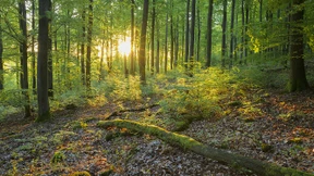 Was Tourismus künftig leisten kann