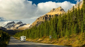 Bärenjagd auf Blattfedern