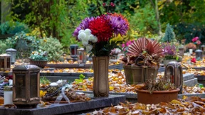 Leserbriefe vom 29. September 2025