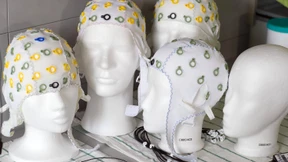 Das Hirn schaut voraus