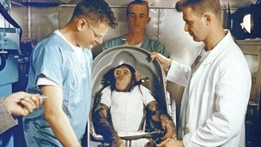 Die Metamorphosen von Covid