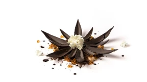 Wir sind fast Weltmeister