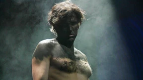 Kahlschlag im Zasterwald