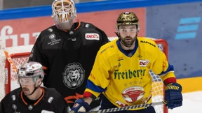 Der Spagat der Löwen