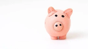 Welche Partei dem Portemonnaie hilft