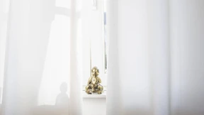 Die weite Welt im Wohnzimmer