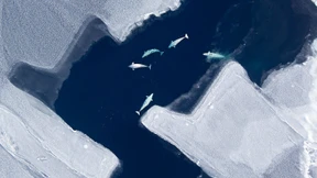 Aufbruchstimmung am Nordpol 