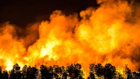 Waldbrände halten Feuerwehren in Atem