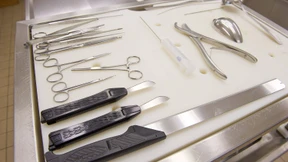 Rechtsmediziner suchen Versuchsgelände für Verwesung