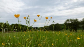 Wetterdienst warnt vor Starkregen und Überschwemmung