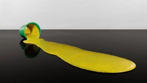 Von den Dingen des Lebens