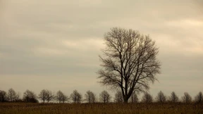Kein Winterwetter in Sicht