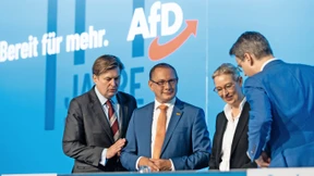 Das Europaproblem der AfD