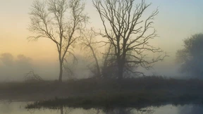 Ein Leben auf das Ende hin