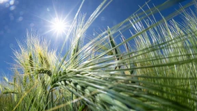 Meist heiter und sonnig