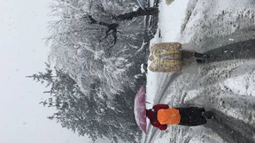 Am Tag, als der Schnee kam