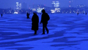 Bibbern vor dem Winter