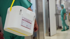 Zahl der Organspenden moderat gestiegen