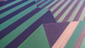 So lässt sich investieren