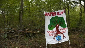 RWE will auf Kaufangebot für Hambacher Forst nicht antworten