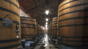 2,2 Millionen Liter Wein fluten Dorf in Portugal