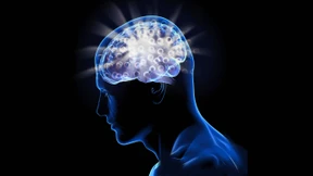 Schicksale der Evolution