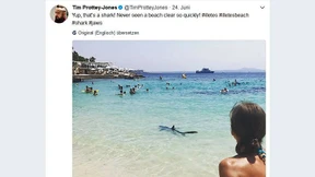 Auf Mallorca gesichteter Hai gefangen und getötet