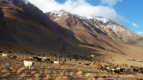 China und Indien ringen um Afghanistans Bodenschätze