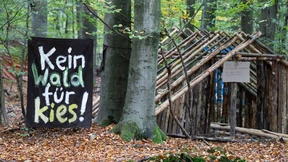 Landesregierung will Schutz des Bannwalds neu regeln