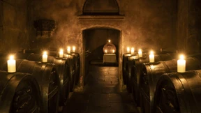 Im Keller des Meisters