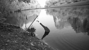 Wie man einem Krokodil guten Geschmack beibringt