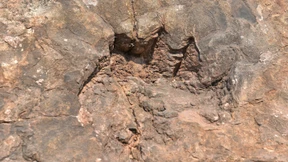 Viel zu schwer für ungedämpfte Sohlen