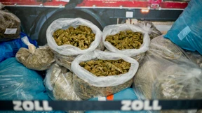 Drogenring schmuggelt Rekordmenge Marihuana in Betonquadern