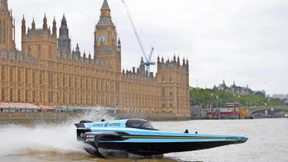 Rennvögel auf der Themse