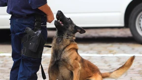 Verdrahteter Apparat löst Polizeieinsatz aus