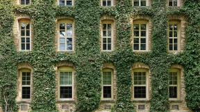 In amerikanischen Verhältnissen leben