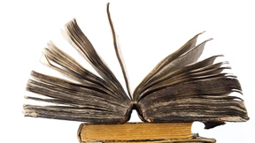 Wie heißen die Helden?