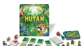 Den Regenwald aufforsten