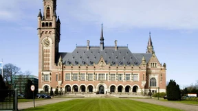 Die Stimme der Hegemonen