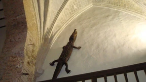 Das Krokodil frisst nur die Seelen