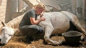 Ein unechtes Foto von einem echten Verlust