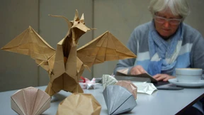 Die Falter vom Bahnhof Mannheim